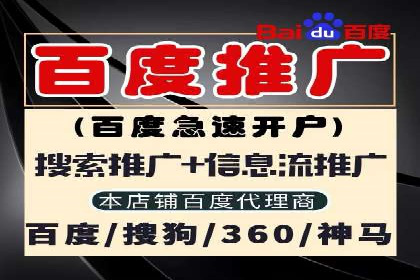 SEM托管服务，成功案例见证转化奇迹